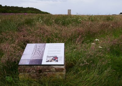 Hilton of Cadboll Stone © Ewen Weatherspoon