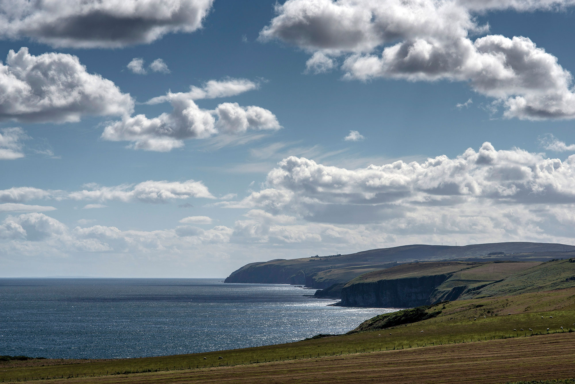 View from Berriedale down the rugged Northeast coastline ©Jim Dunn View from Berriedale down the rugged Northeast coastline ©Jim Dunn